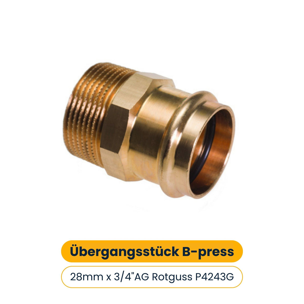 Übergangsstück B-press 28mm x 3/4"AG Rotguss P4243G [5 Stück]